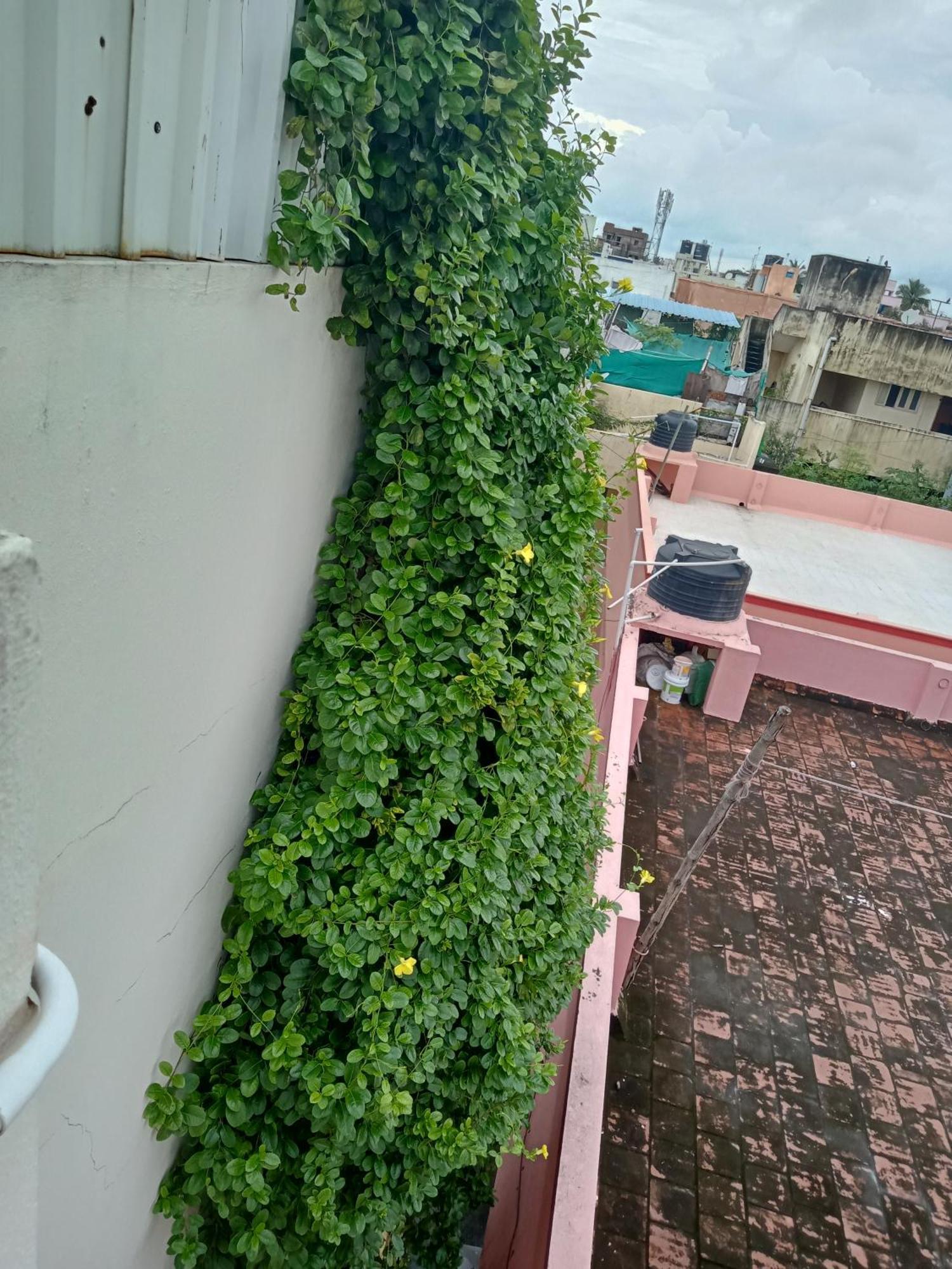 Allamanda Abode Aparthotel Chennai Bagian luar foto